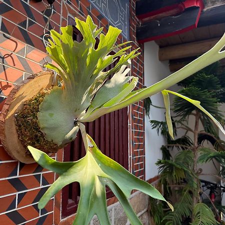 Grace Homestay Jincheng Exterior foto
