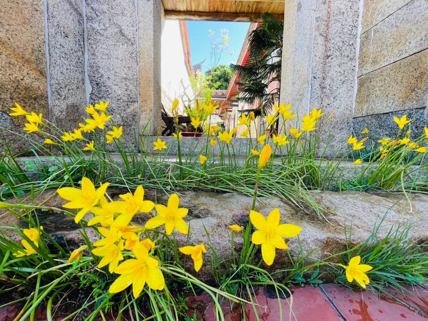 Grace Homestay Jincheng Exterior foto